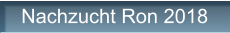 Nachzucht Ron 2018