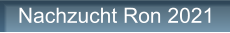 Nachzucht Ron 2021
